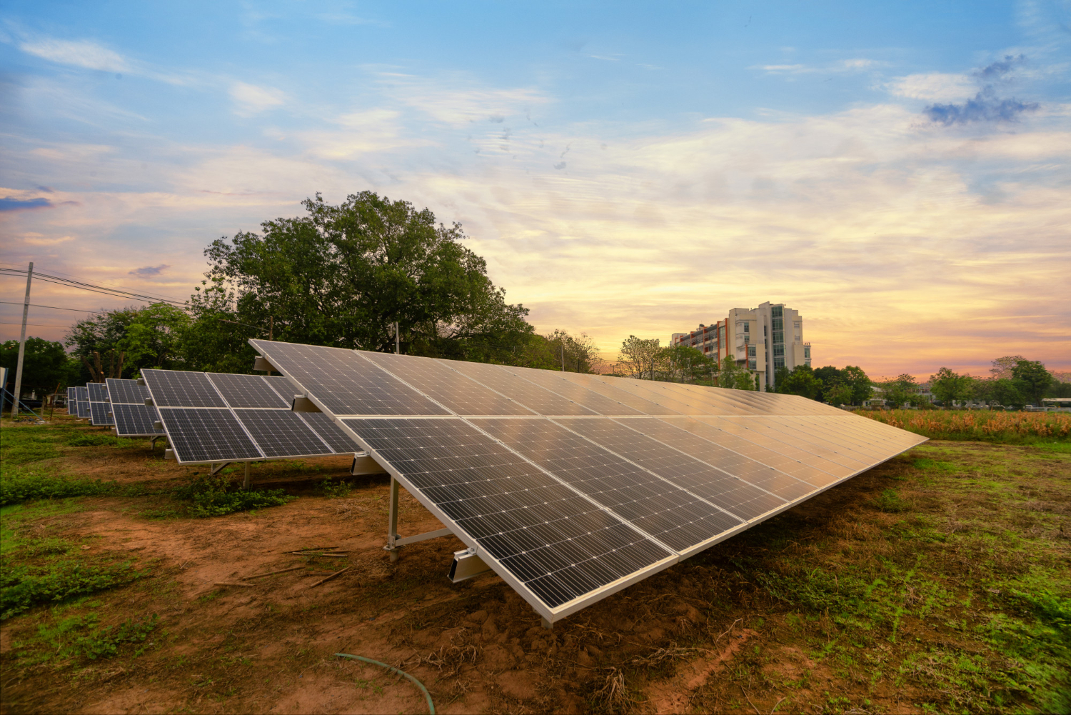 Ground-mounted solar panels installed in an open field at sunset – powering homes and buildings with clean renewable energy.
