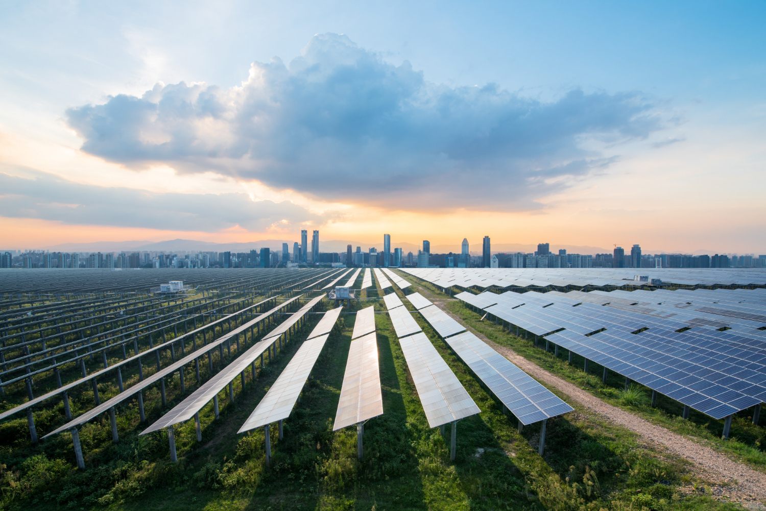 Large-scale solar power plant near a city skyline generating renewable energy for urban infrastructure.